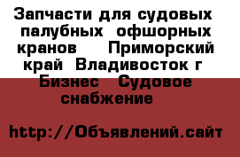 Запчасти для судовых, палубных, офшорных кранов.  - Приморский край, Владивосток г. Бизнес » Судовое снабжение   